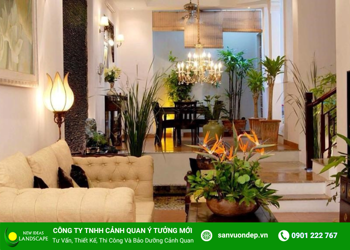 CÁCH BỐ TRÍ CÂY XANH TRONG VƯỜN