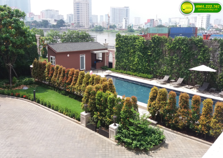 LĨNH VỰC CỦA CHÚNG TÔI