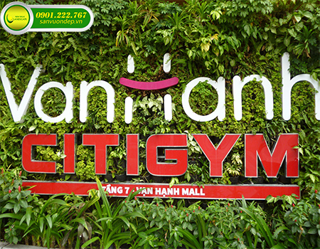 THIẾT KẾ THI CÔNG CẢNH QUAN  TRUNG TÂM THƯƠNG MẠI VẠN HẠNH MALL QUẬN 10