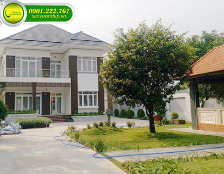 THIẾT KẾ THI CÔNG SÂN VƯỜN BIỆT THỰ TẠI BÌNH DƯƠNG