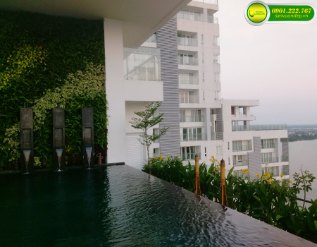 THI CÔNG VƯỜN TRÊN MÁI CĂN HỘ PENTHOUSE - ĐẢO KIM CƯƠNG