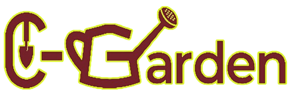 LOGO CÔNG TY