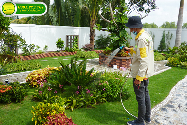 PHONG CẢNH NHÀ VƯỜN ĐẸP
