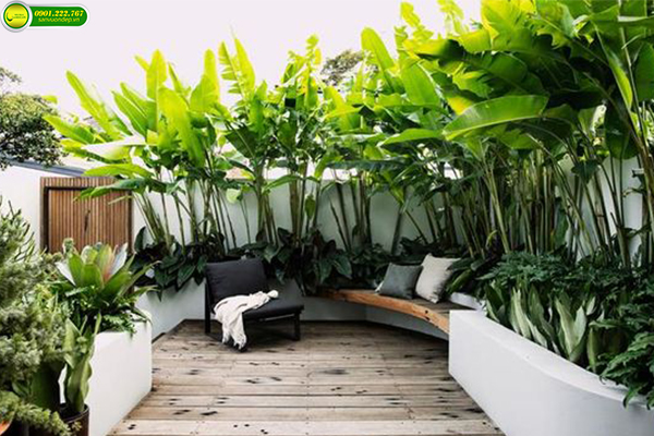 SÂN VƯỜN NHÀ PHỐ ĐẸP