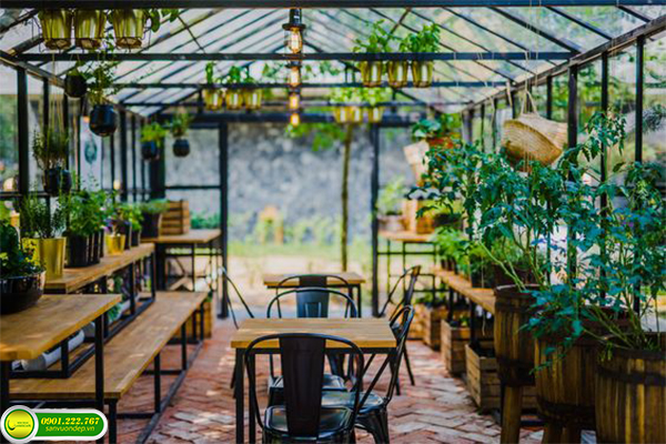 THIẾT KẾ CAFE SÂN VƯỜN