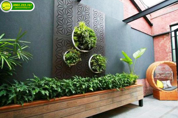 TIỂU CẢNH QUÁN CÀ PHÊ