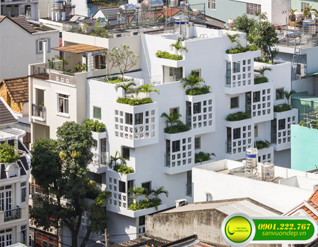 THI CÔNG VƯỜN TRÊN MÁI – CC RESIDENCE