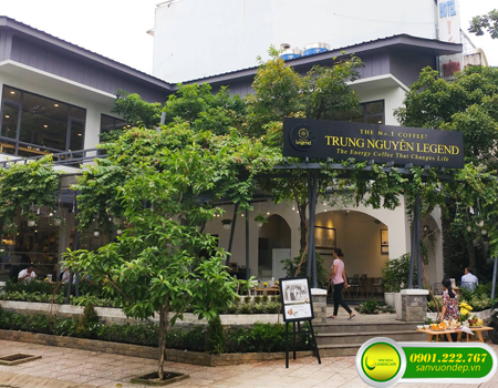 THIẾT KẾ THI CÔNG SÂN VƯỜN CAFÉ TRUNG NGUYÊN LEGEND